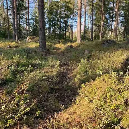 Country Hébergement de vacances *
